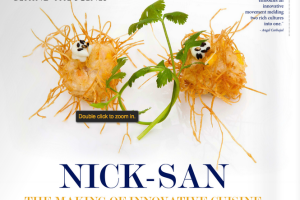 Nicksan-Los-Cabos-Reviews-003